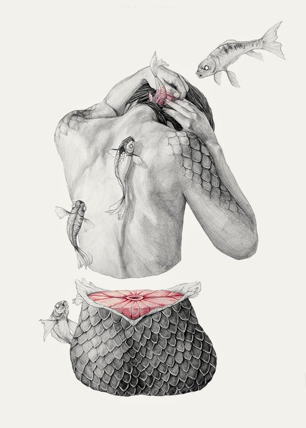 Mujer pez Mujer pez, mujer sushi, cuerpo, sirena