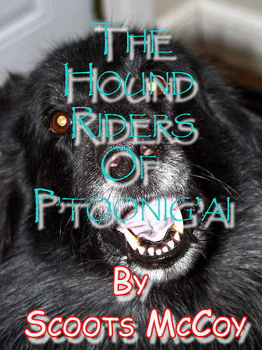 5407787461_abfec7b837